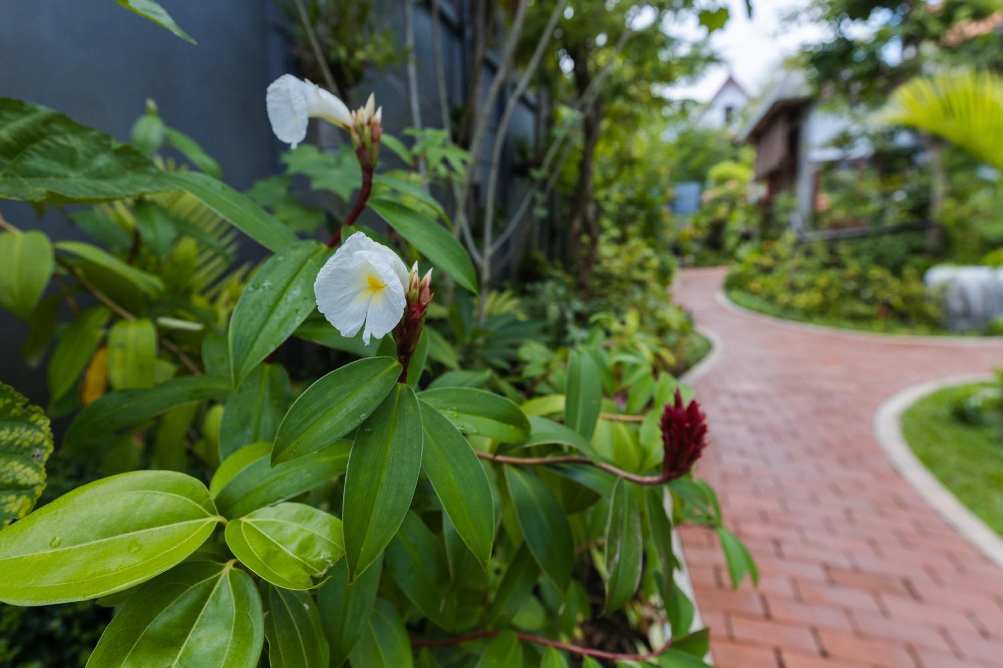 Golden Vishnu Villa Siem Reap Exterior foto